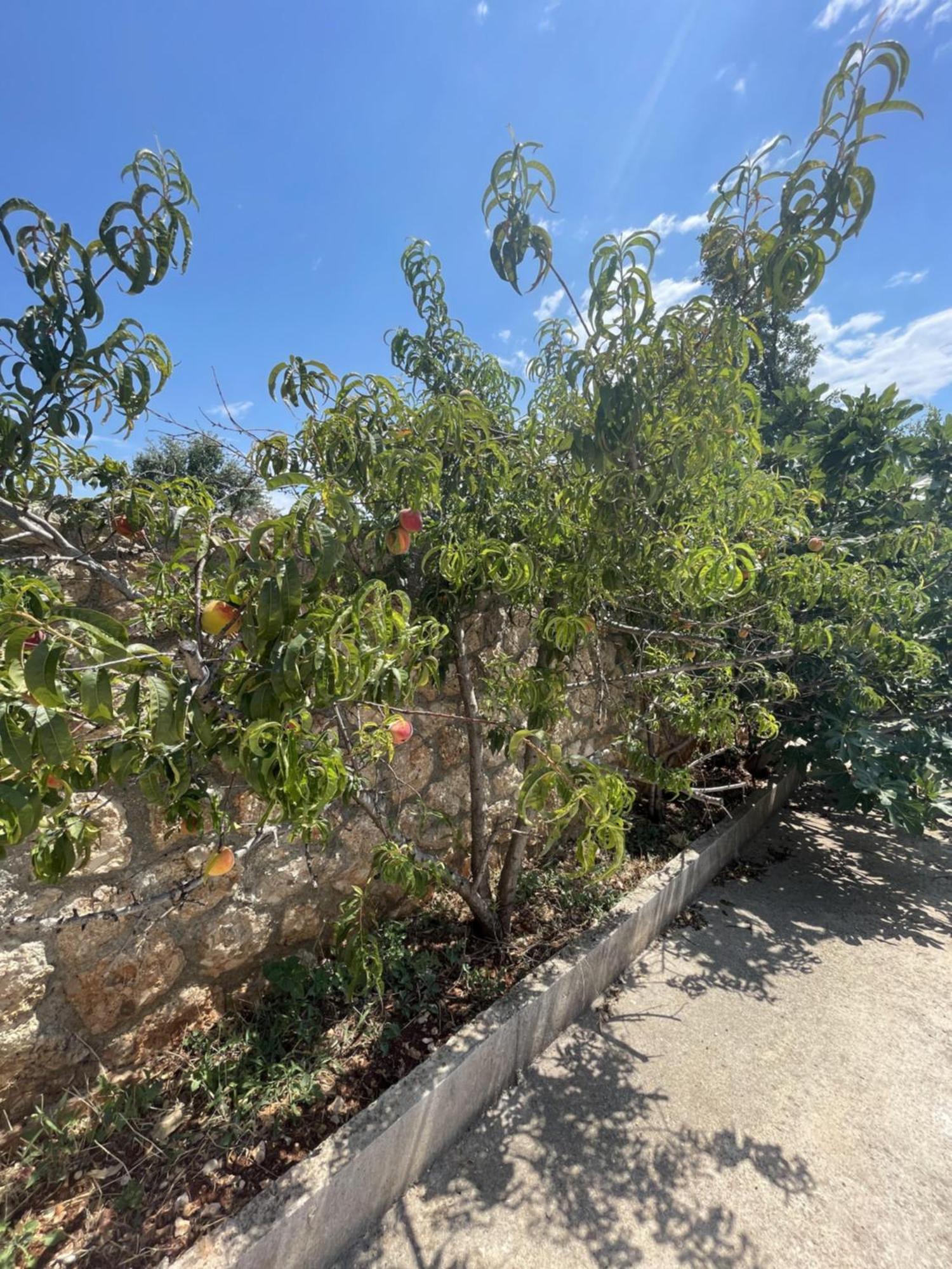 Olympian Rooms Dhermi Exterior photo